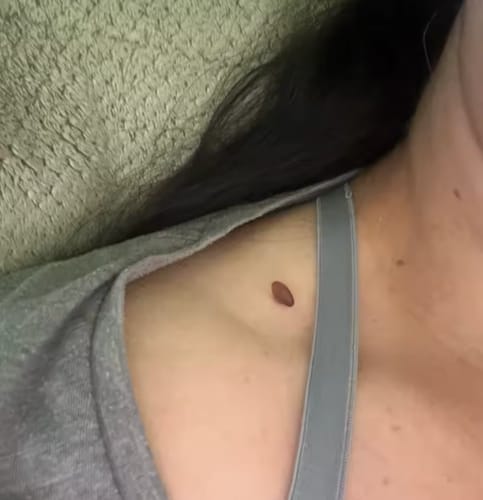 Megan T.